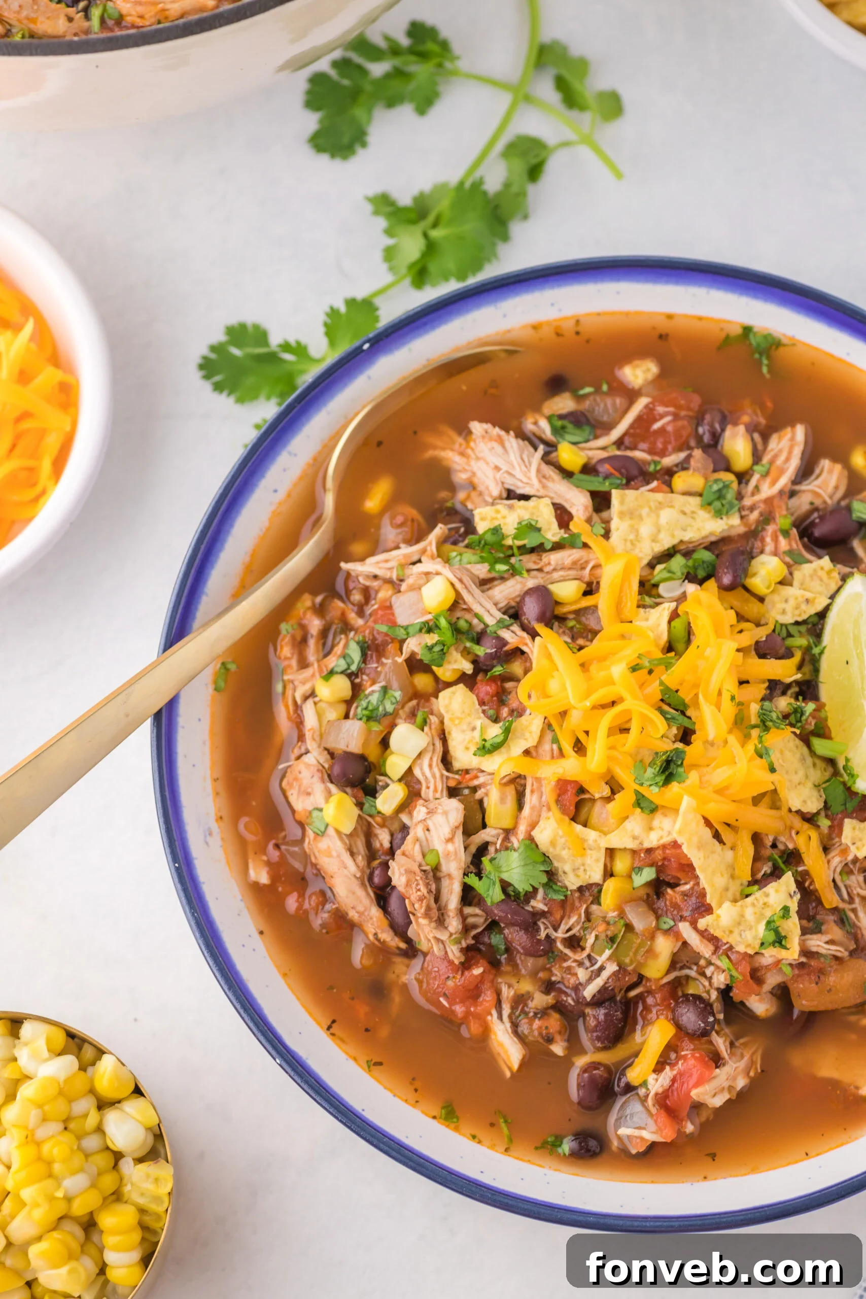 Overhead view of Chicken Taco Soup in a bowl served with a golden spoon.