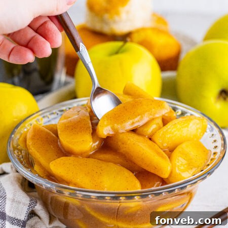 Cracker Barrel Fried Apples dish.