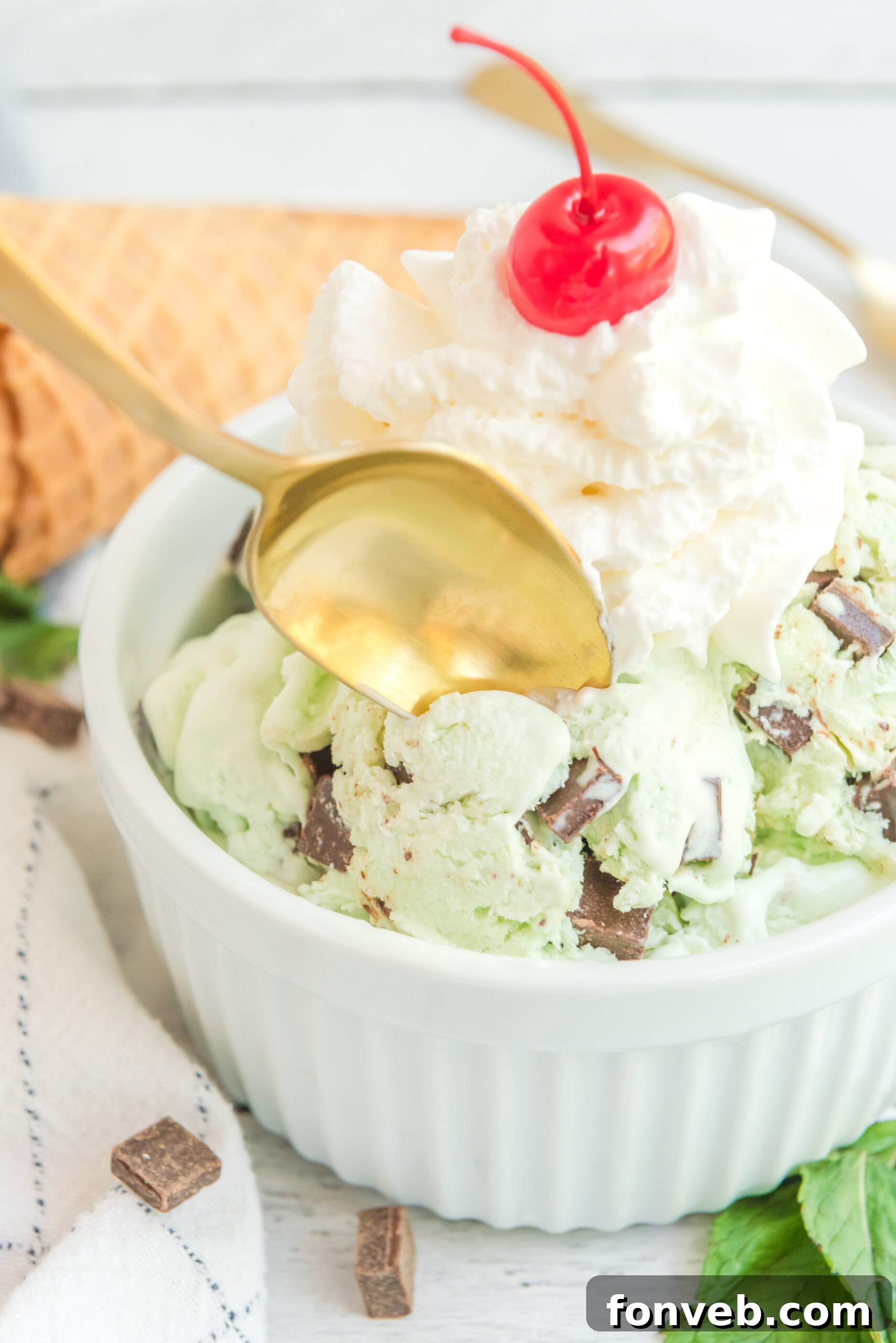 Emerald Mint & Chocolate Swirl 2 Mint Chocolate Chip Ice Cream in a white bowl topped with a cherry and whipped cream