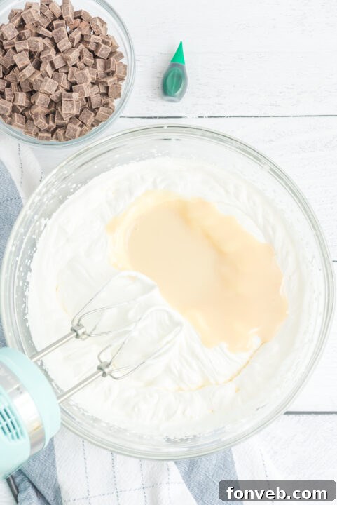 Emerald Mint & Chocolate Swirl 14 img 25126 13