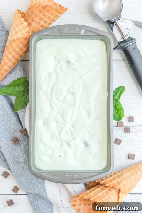 Emerald Mint & Chocolate Swirl 17 img 25126 16