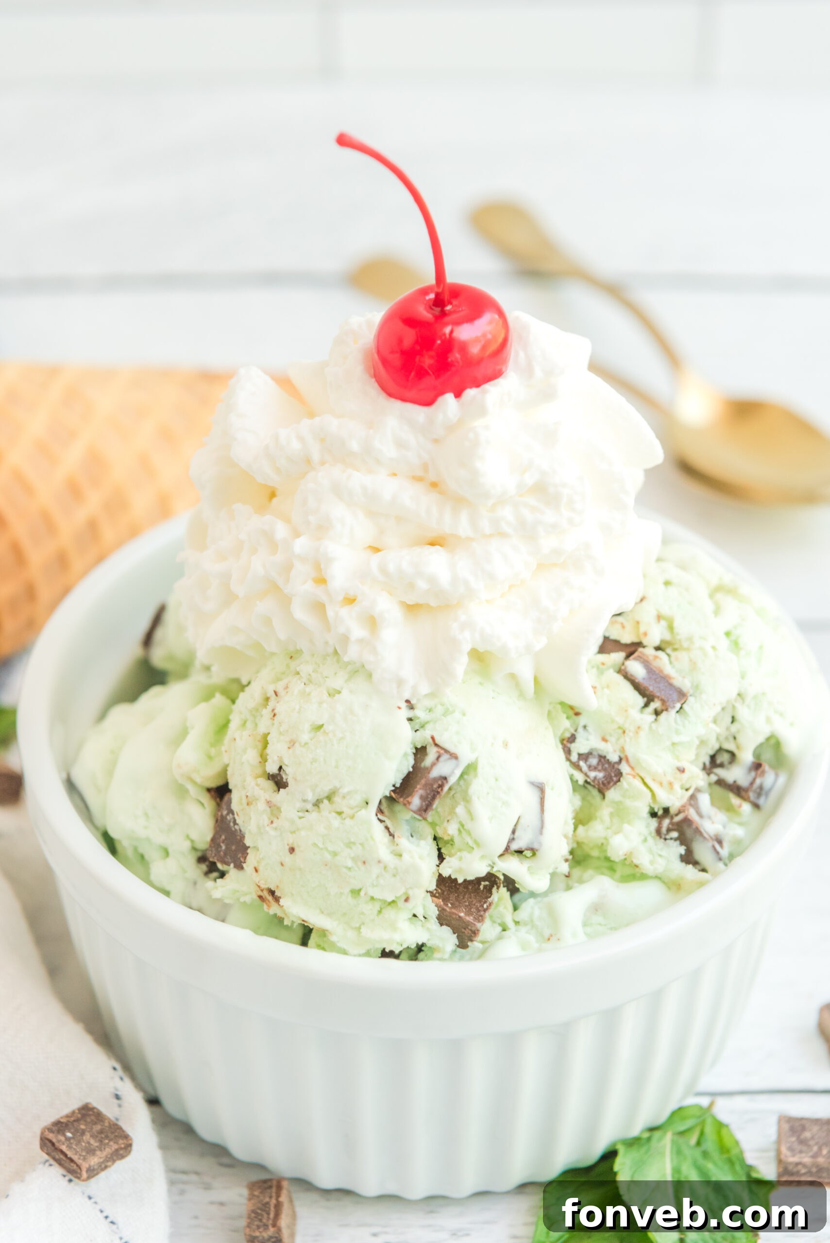 Emerald Mint & Chocolate Swirl 19 Close up view of scoops of Mint Chocolate Chip Ice Cream in a white bowl garnished with whipped cream and cherry.