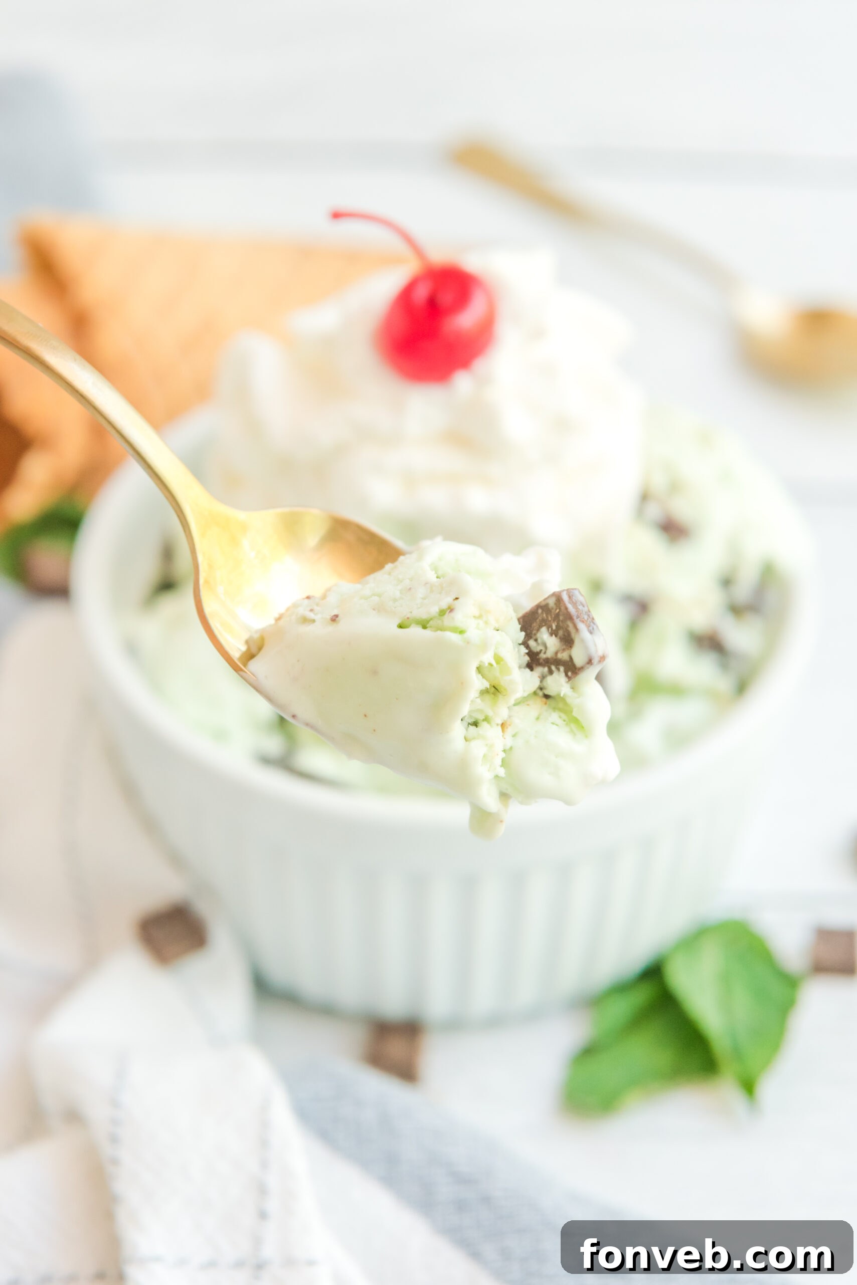 Emerald Mint & Chocolate Swirl 20 Close up view of a gold spoon with a bite of Mint Chocolate Chip Ice Cream.
