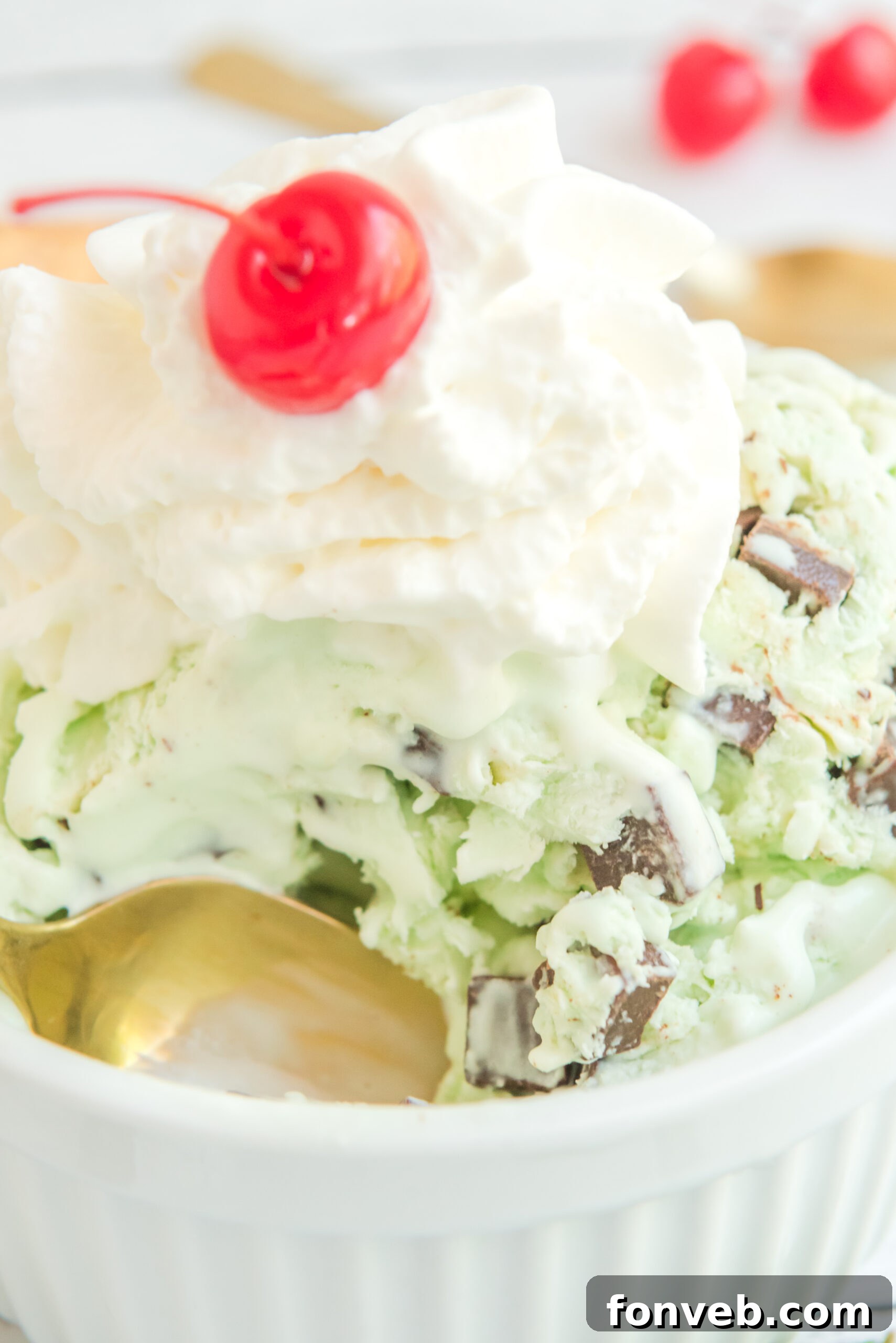 Emerald Mint & Chocolate Swirl 21 Close up view of scoops of Mint Chocolate Chip Ice Cream in a white bowl garnished with whipped cream and cherry.