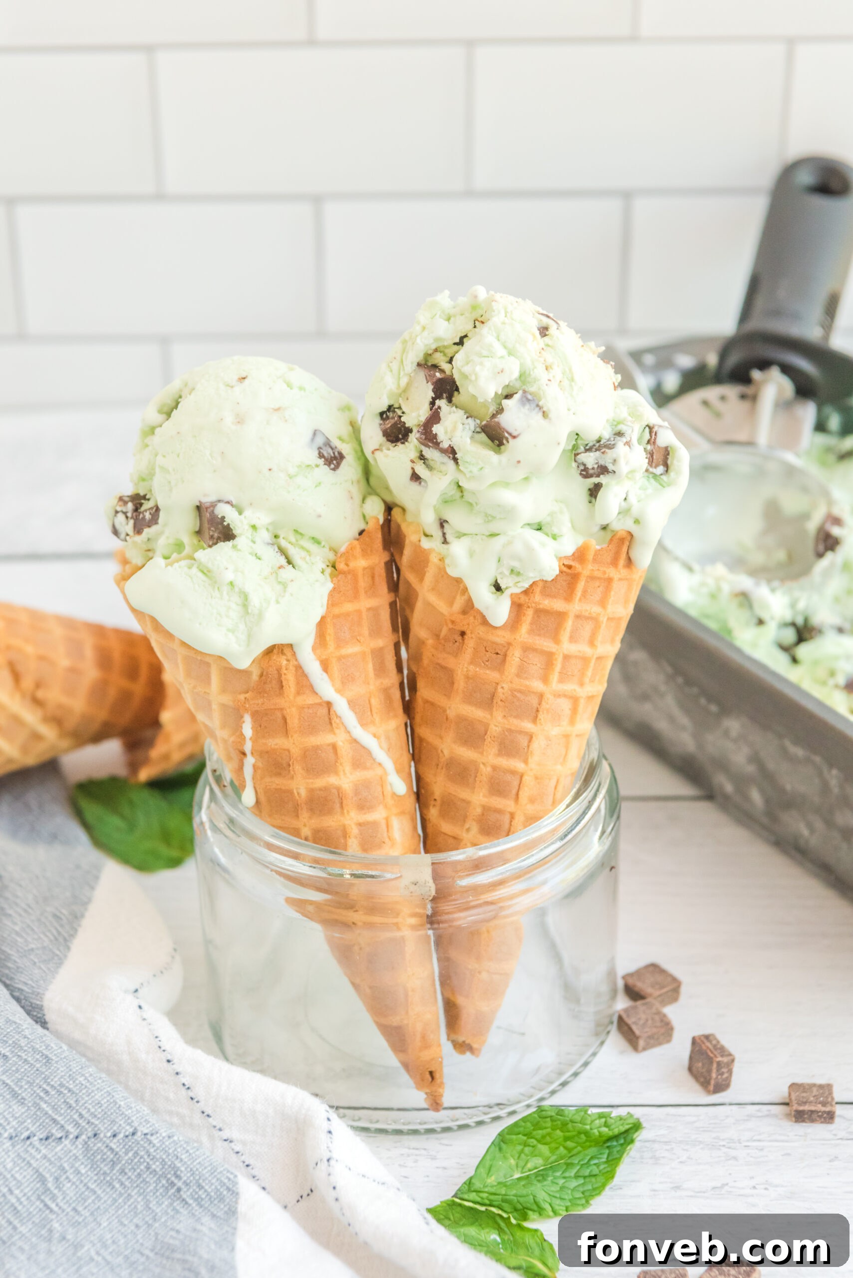 Emerald Mint & Chocolate Swirl 6 Front view of two scoops of Mint Chocolate Chip Ice Cream in two ice cream cones.