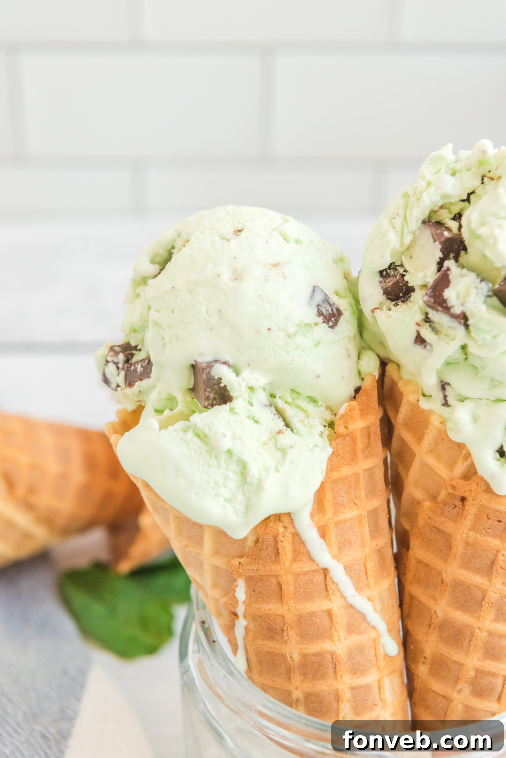 Emerald Mint & Chocolate Swirl 8 Close up view of two scoops of Mint Chocolate Chip Ice Cream in two ice cream cones.