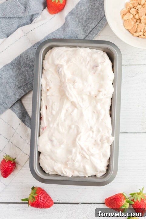 Frozen Strawberry Cheesecake Dream 20 img 25209 19