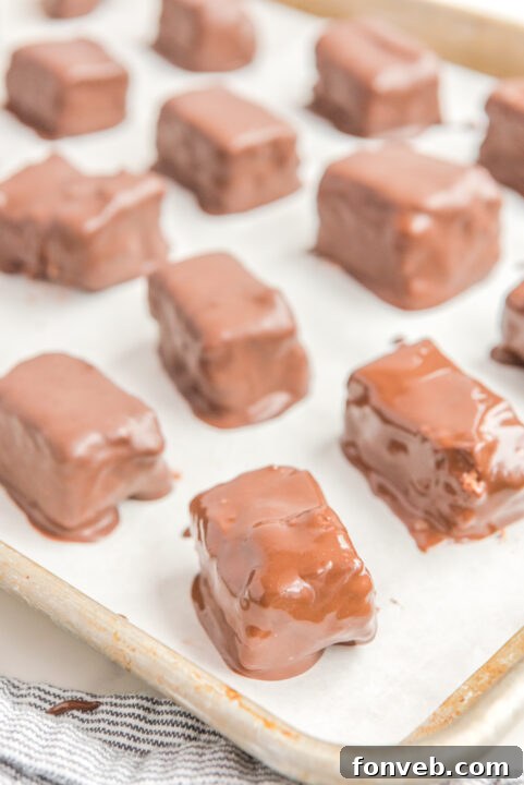 Sweet Cloud Candies 16 Cool Whip Candy bars artfully drizzled with white chocolate, enhancing their visual appeal.