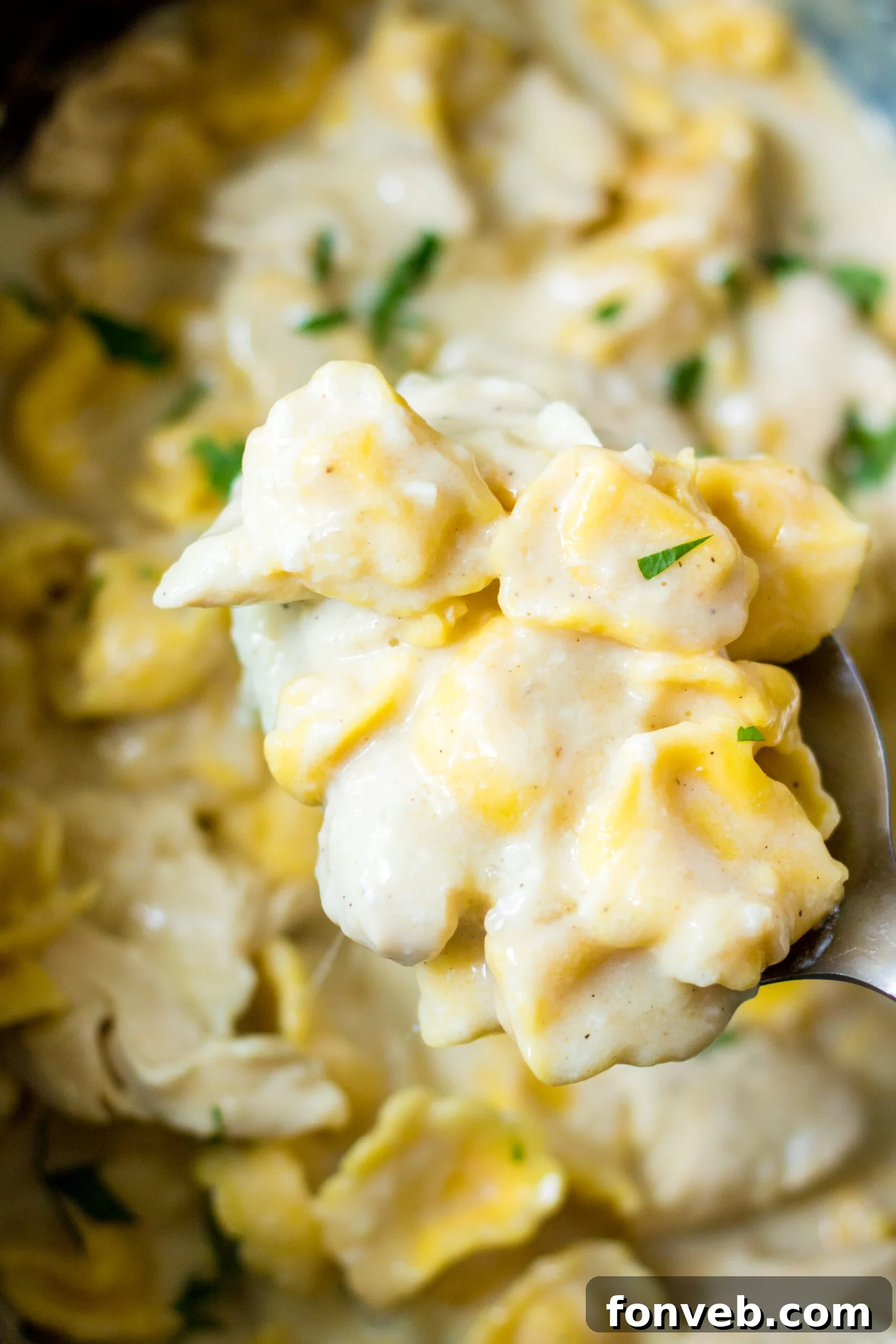 Up close view of a spoonful of Slow Cooker Chicken Tortellini, highlighting the creamy sauce and pasta.