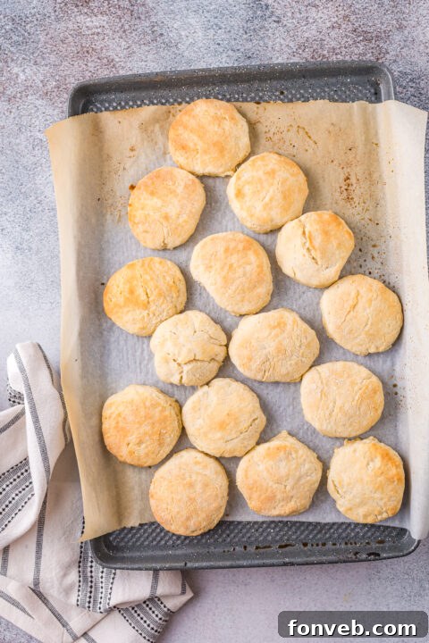 Various stages of biscuit making from dough to baked product.