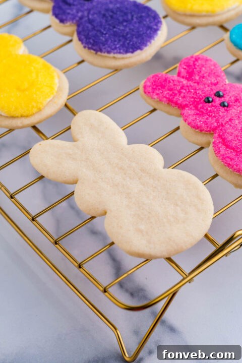 A plain Easter bunny cookie before it is decorated, showing its clean, unadorned shape.