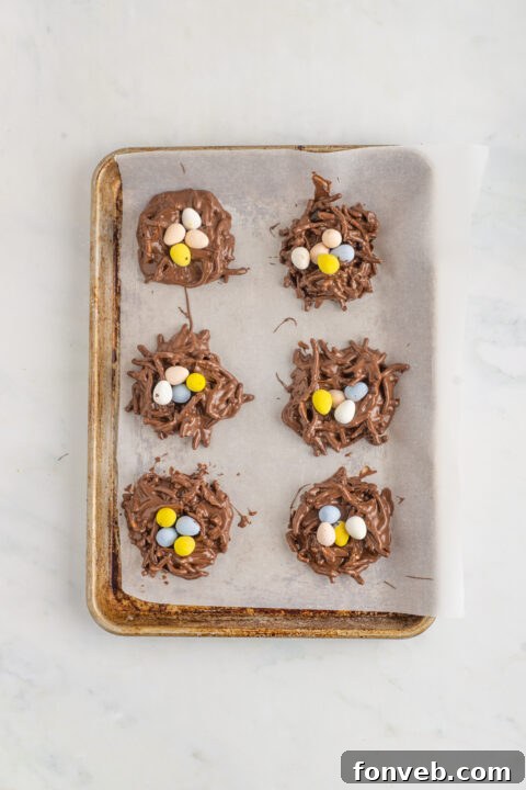 Whimsical Bird Nests 11 img 27127 10