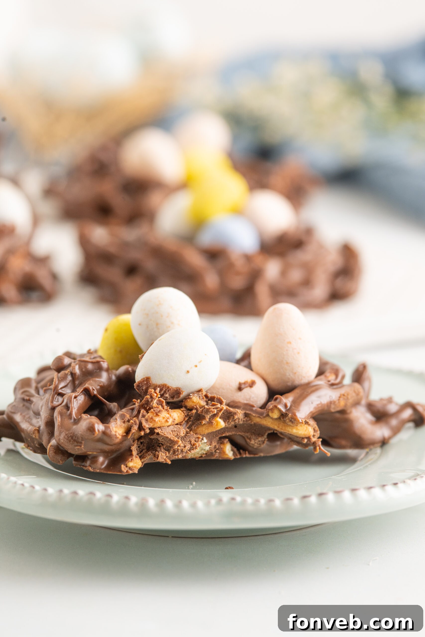 Whimsical Bird Nests 14 Close up bite shot of a birds nest cookie.