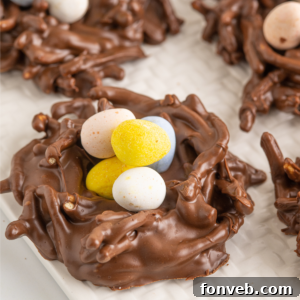 Whimsical Bird Nests 18 Birds Nest Cookies
