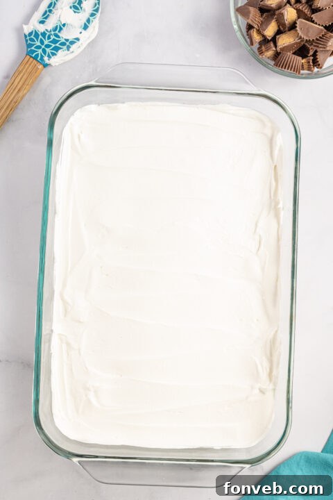 Reese's Peanut Butter Cup Lasagna 10 The initial layer of Oreo crust pressed firmly into a baking dish.