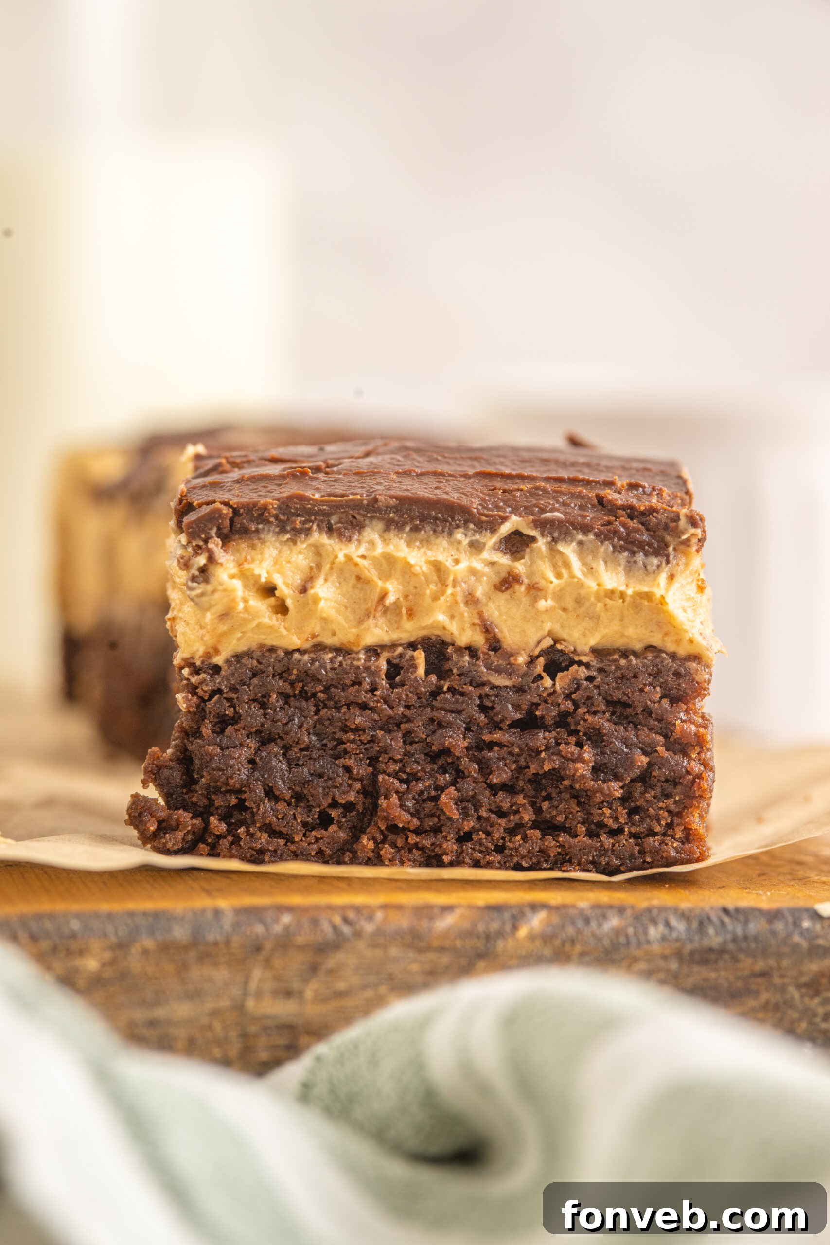 A stunning side profile of the Buckeye Brownie layers, showing the perfect distribution of chocolate brownie, peanut butter filling, and chocolate ganache.