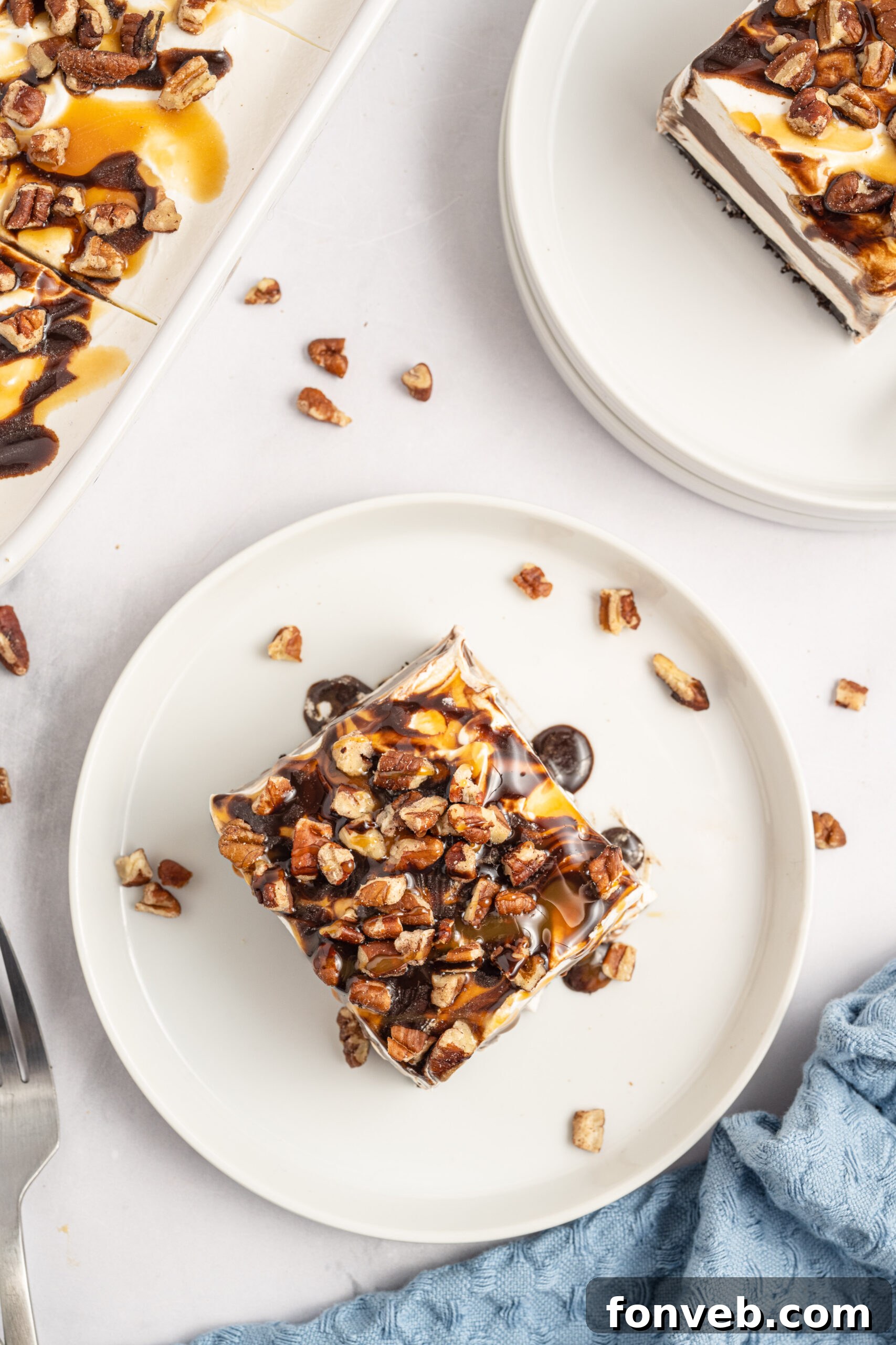 Overhead view of a beautiful slice of Turtle Lush resting on a white plate, highlighting its layers.