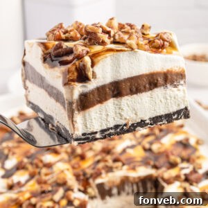 A delectable slice of Turtle Lush, beautifully presented.