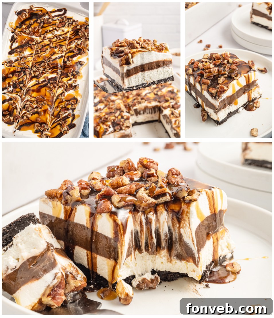 A vibrant collage featuring multiple appetizing photos of the Turtle Lush dessert.