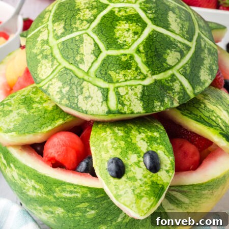 Front view of Turtle Watermelon Fruit Salad.