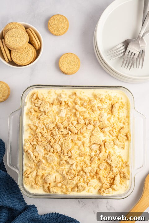 Golden Oreo No-Bake Delight 14 img 28016 13