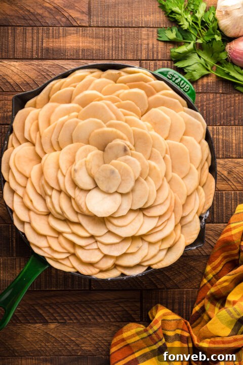 Creamy Sausage and Potato Gratin 16 img 28094 15