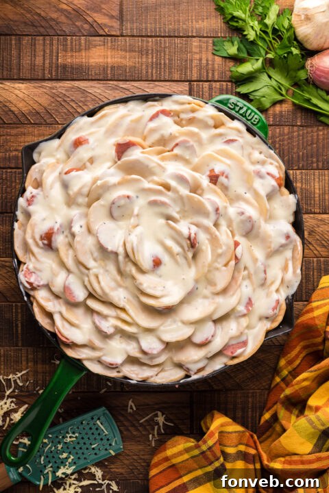 Creamy Sausage and Potato Gratin 17 img 28094 16