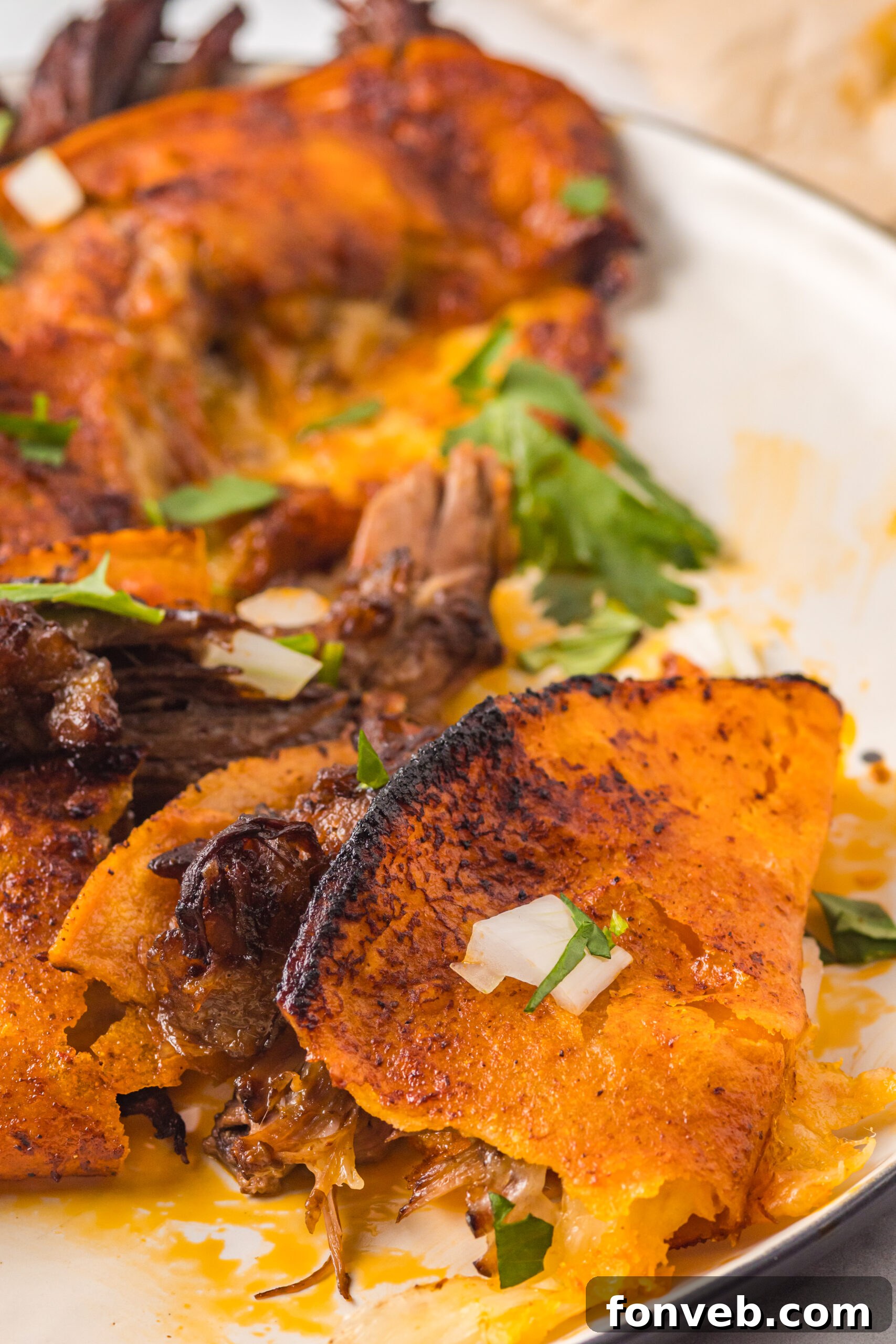 Front view of Birria Tacos on a white plate with one taco split in half.