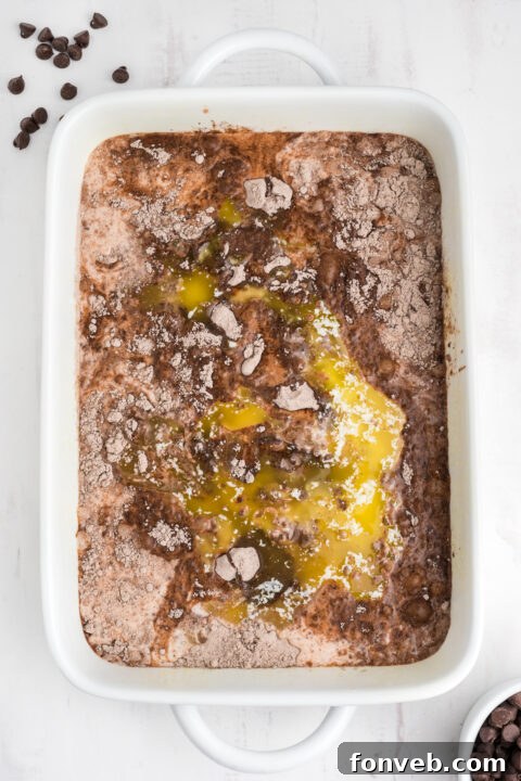 Step-by-step image showing the instant chocolate pudding mix being sprinkled over the cake mix layer.