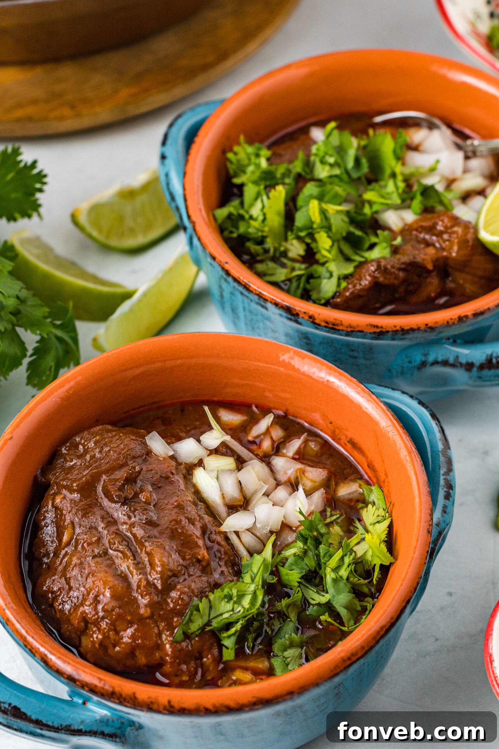 Overhead view of a serving of Beef Birria in a bowl, exquisitely presented with fresh toppings.
