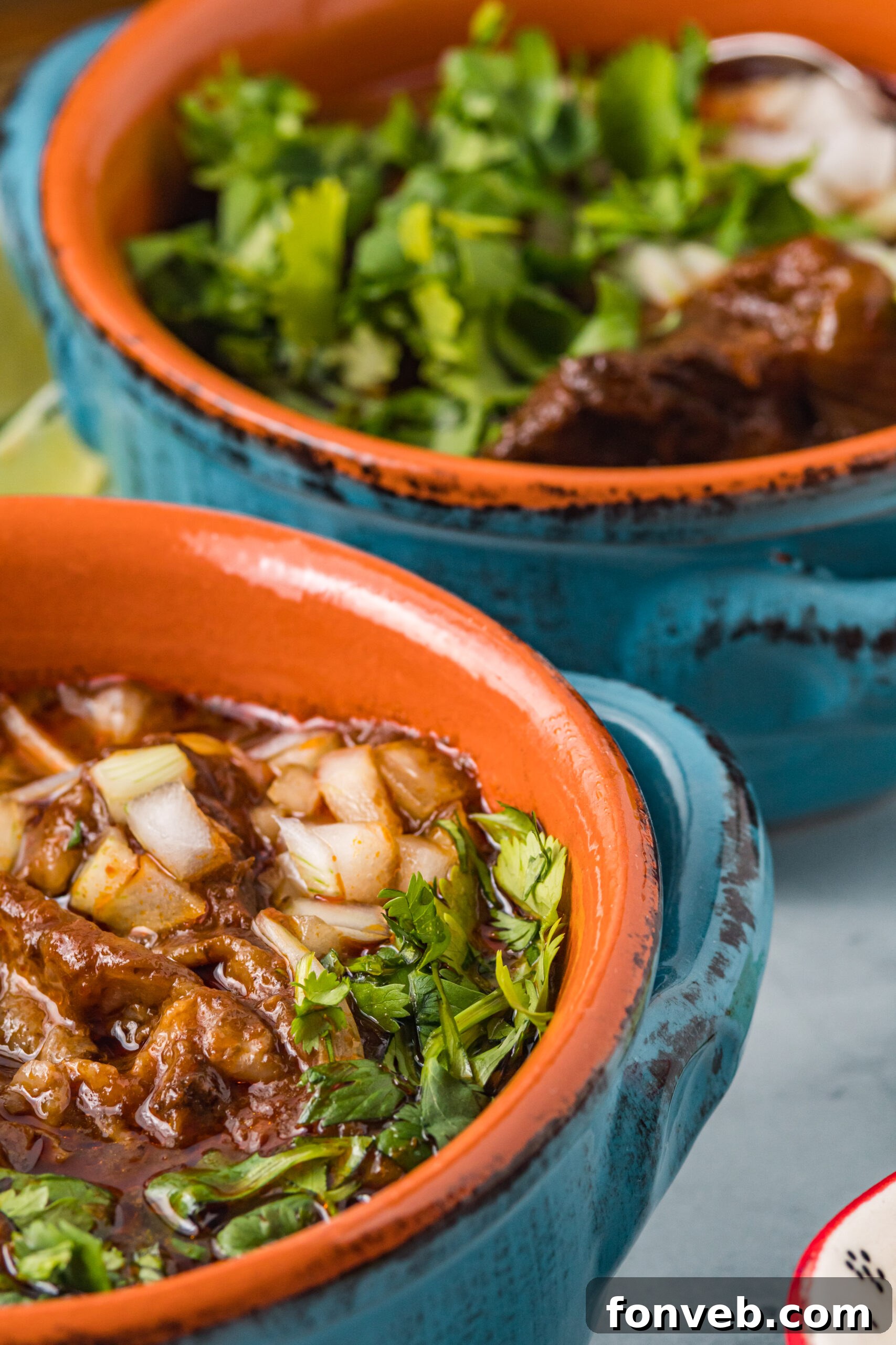 Close up view of a serving of Beef Birria in a bowl, showcasing the tender, shredded beef.