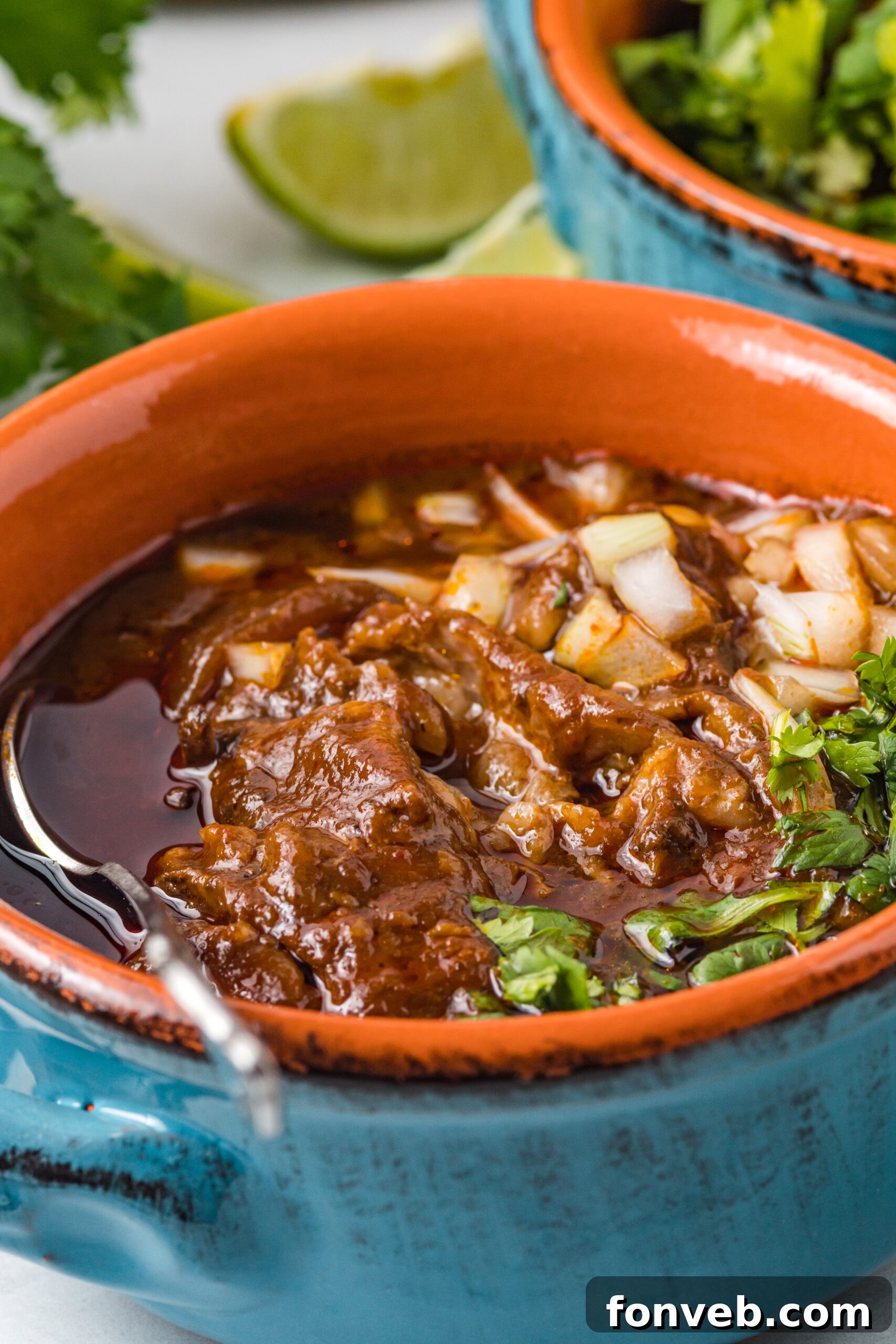 Close up view of a serving of Beef Birria in a bowl, showcasing the rich texture and garnishes.