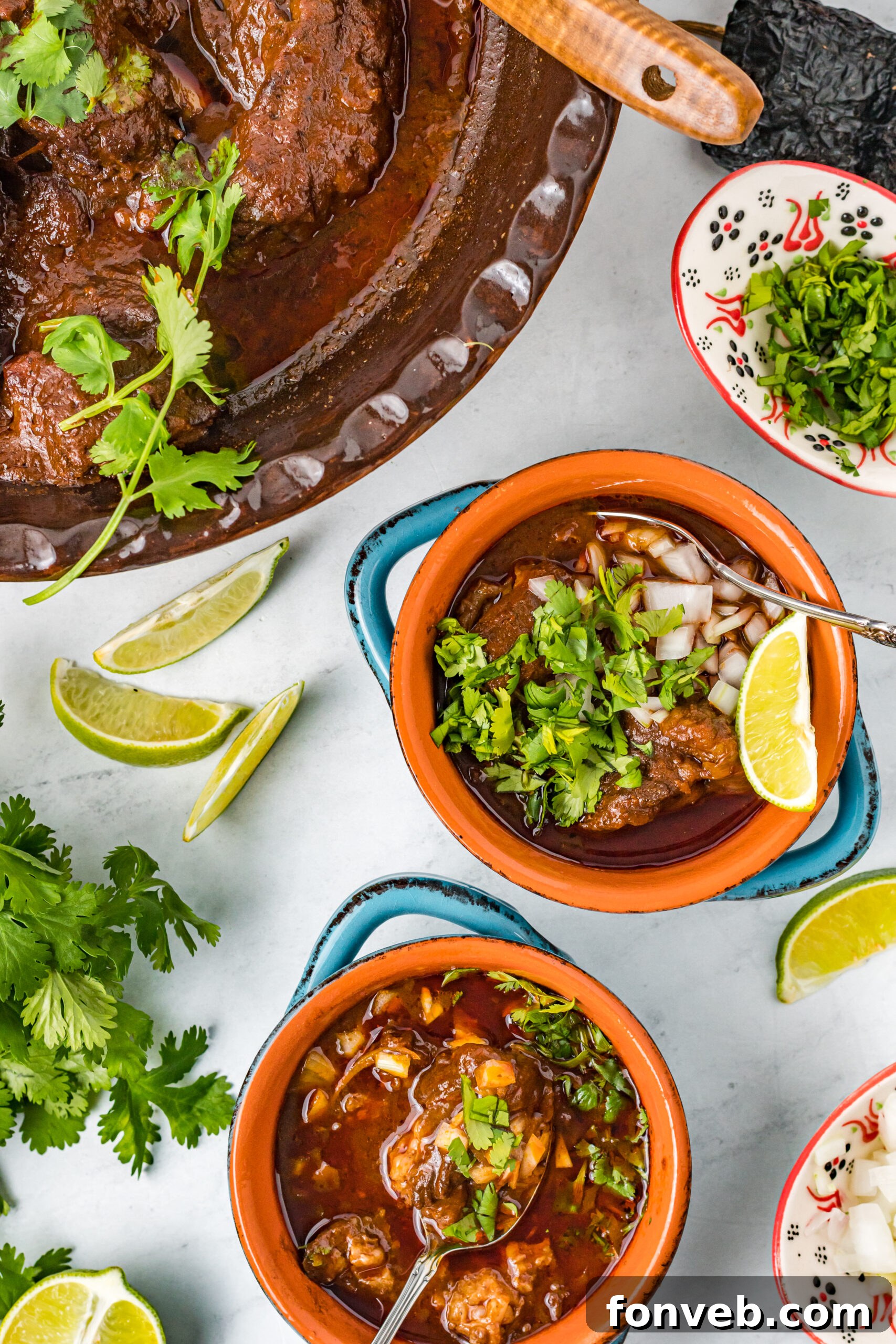 Overhead view of two inviting bowls of Beef Birria, garnished and ready to be enjoyed.