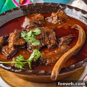 Delicious Beef Birria served in a bowl