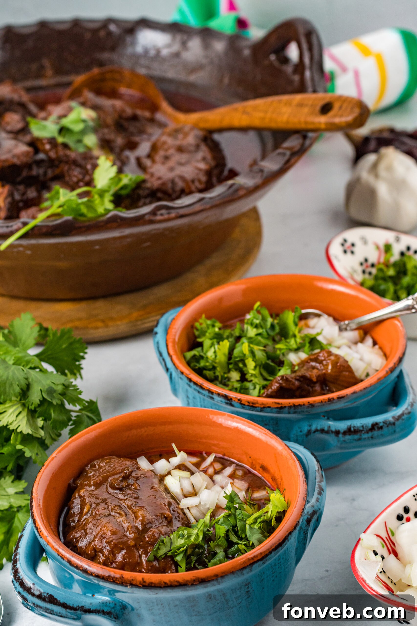 Front view of a serving of Beef Birria in a bowl topped with vibrant chopped onions and cilantro.