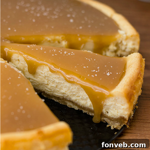Epic Recipes You Can't Resist 15 Amazing Salted Caramel Cheesecake