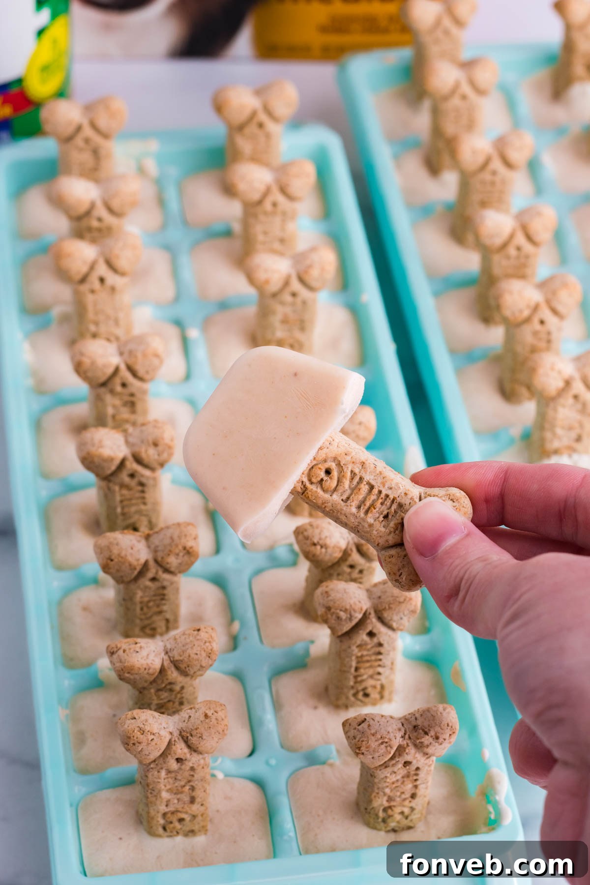 holding a popsicle for a dog