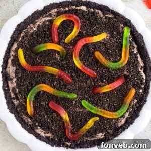 Dirt Pie overhead shot in a pan