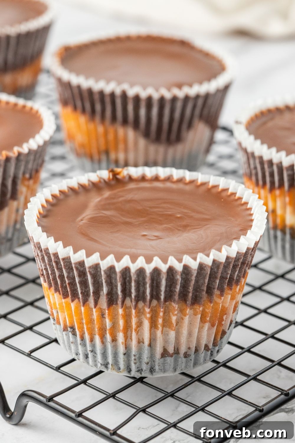 Mini peanut butter cheesecake cups arranged neatly on a wire cooling rack.