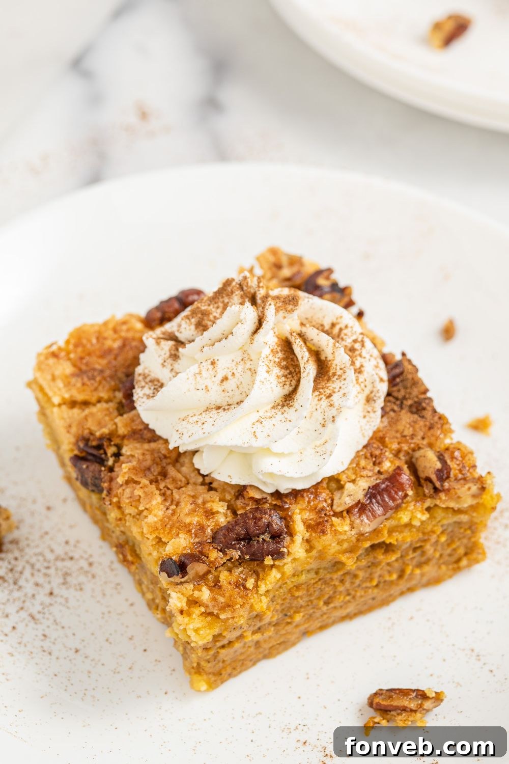 A beautifully presented slice of pumpkin pie cake on a white plate, elegantly topped with a swirl of whipped cream and a sprinkle of cinnamon.