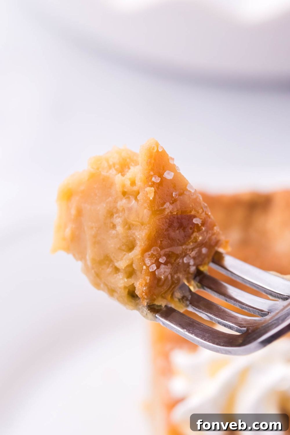Golden Sweetheart 5 A fork lifts a perfect bite of honey pie from a slice, with the full slice artfully arranged on a plate in the background.