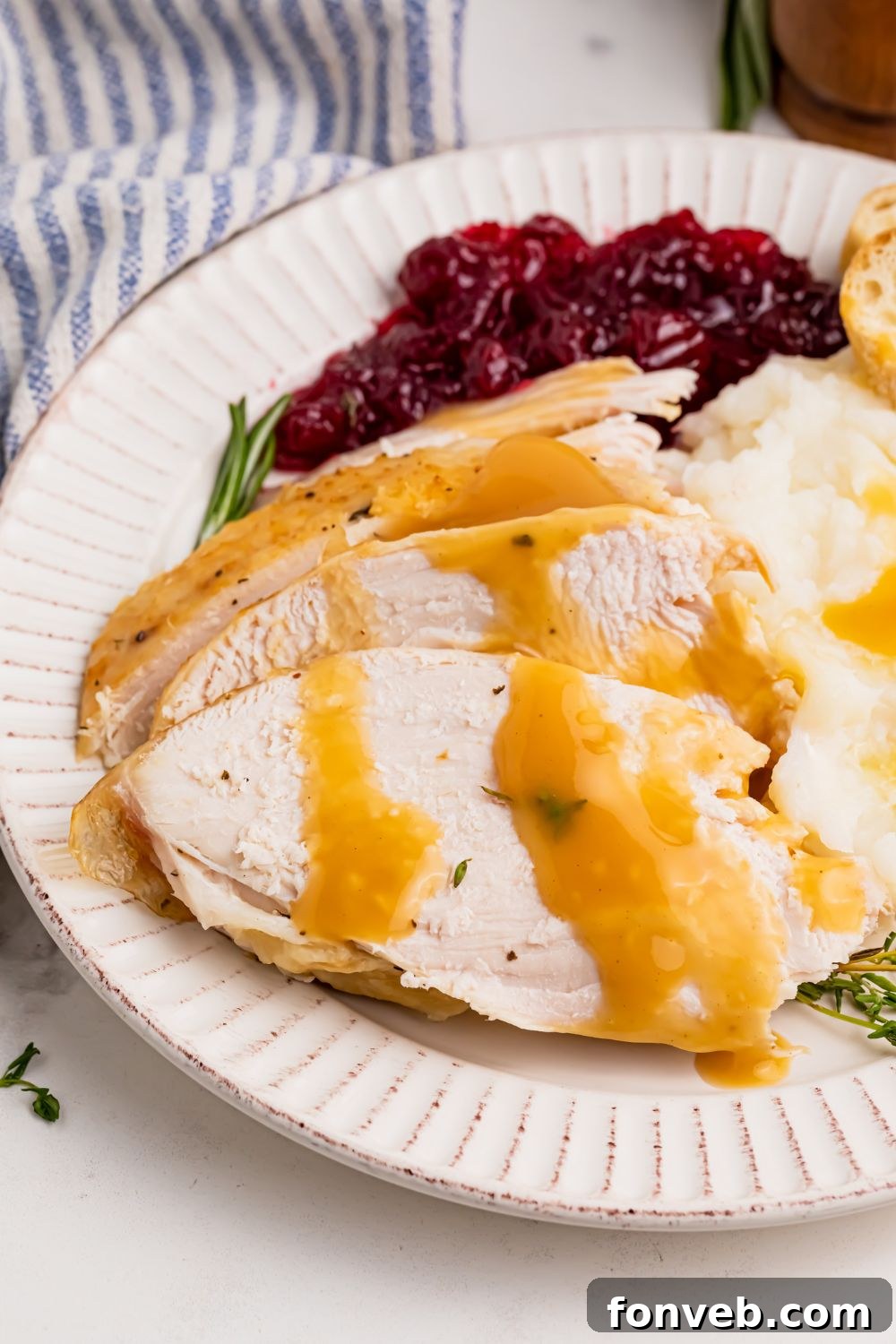 plate with turkey and gravy 