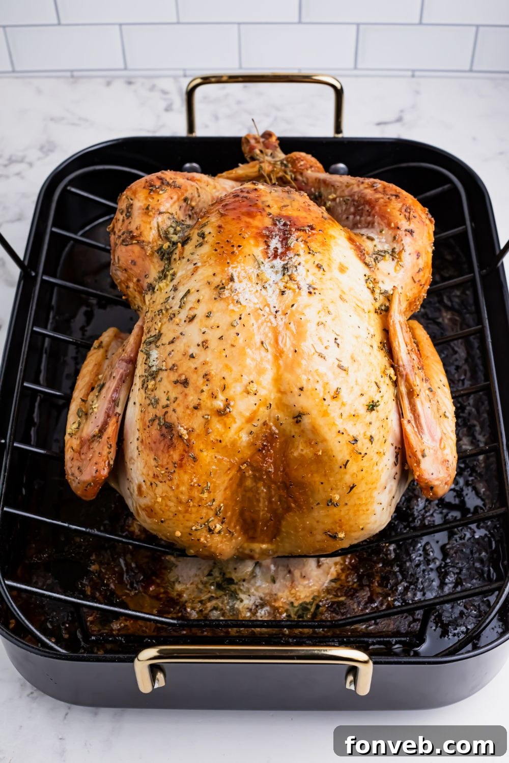 roasted turkey in a pan on table