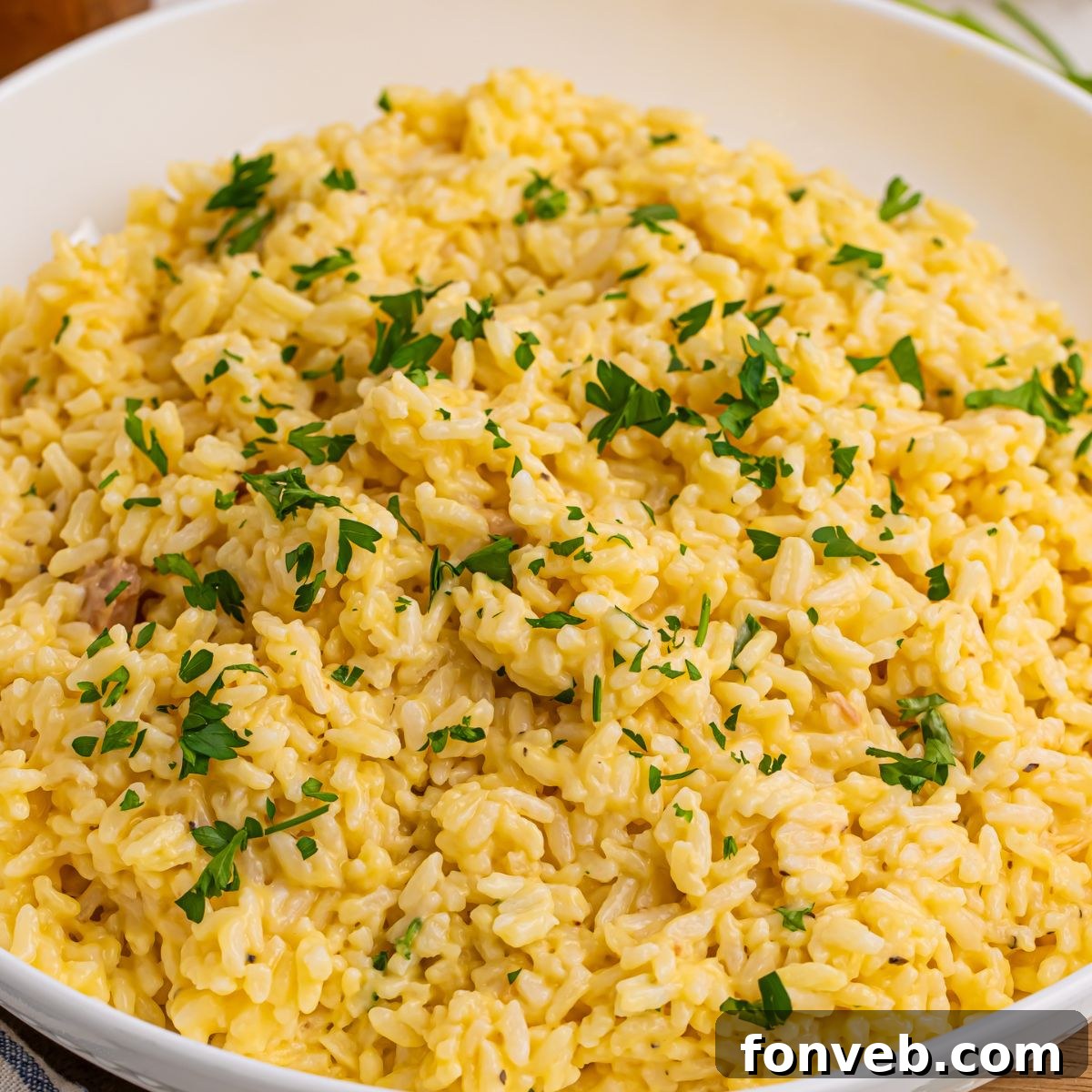 A perfectly garnished bowl of Souper Rice, ready to be served.