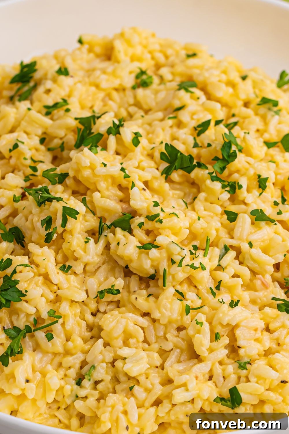 A bowl of Souper Rice garnished with fresh parsley, ready to be enjoyed.