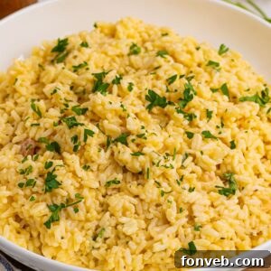 Souper Rice in a white bowl with some parsley garnished on top