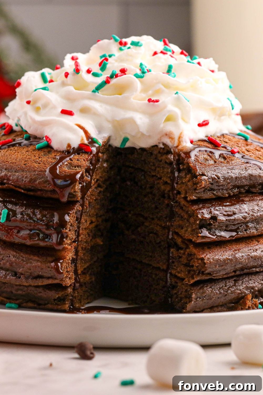 Decadent Hot Chocolate Pancakes 17 Hot Chocolate Pancakes on a plate with some of the pancake cut out of the pancakes