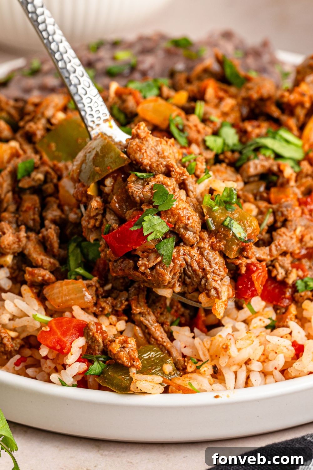 Zesty Ground Beef Medley 4 A bowl of Carne Picada served over white rice, with a spoonful lifted to highlight the rich, shredded beef texture