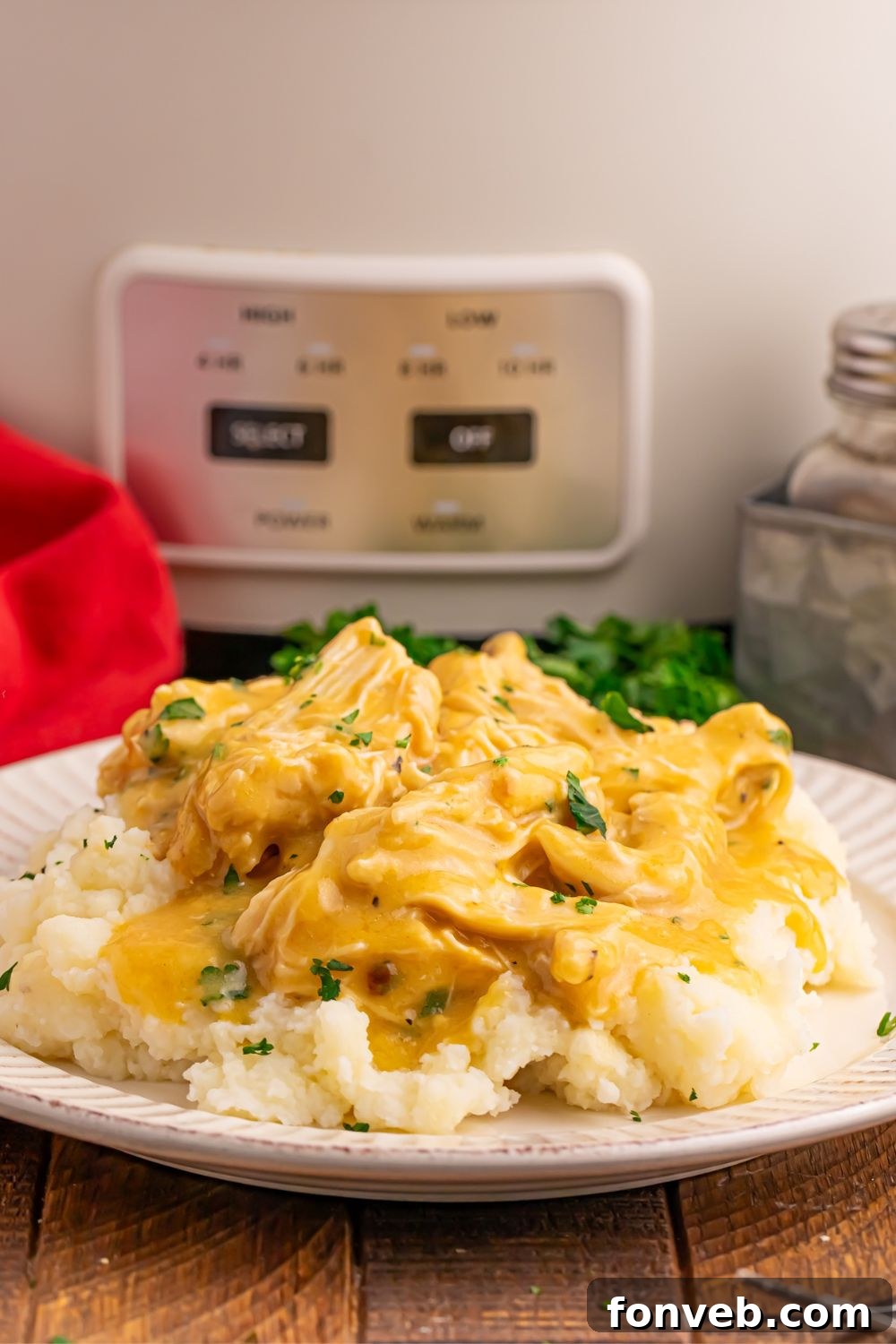 plate with chicken with gravy and mashed potatoes on plate and crockpot in the background 