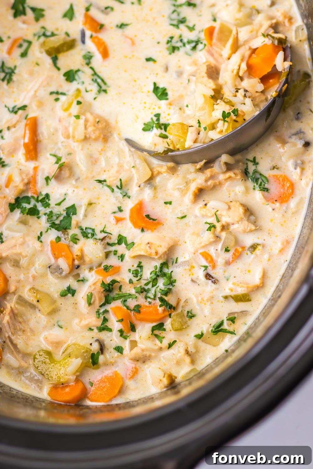  Turkey & Rice Soup in slow cooker with ladle in the slow cooker 